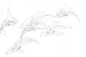 wire whales 3