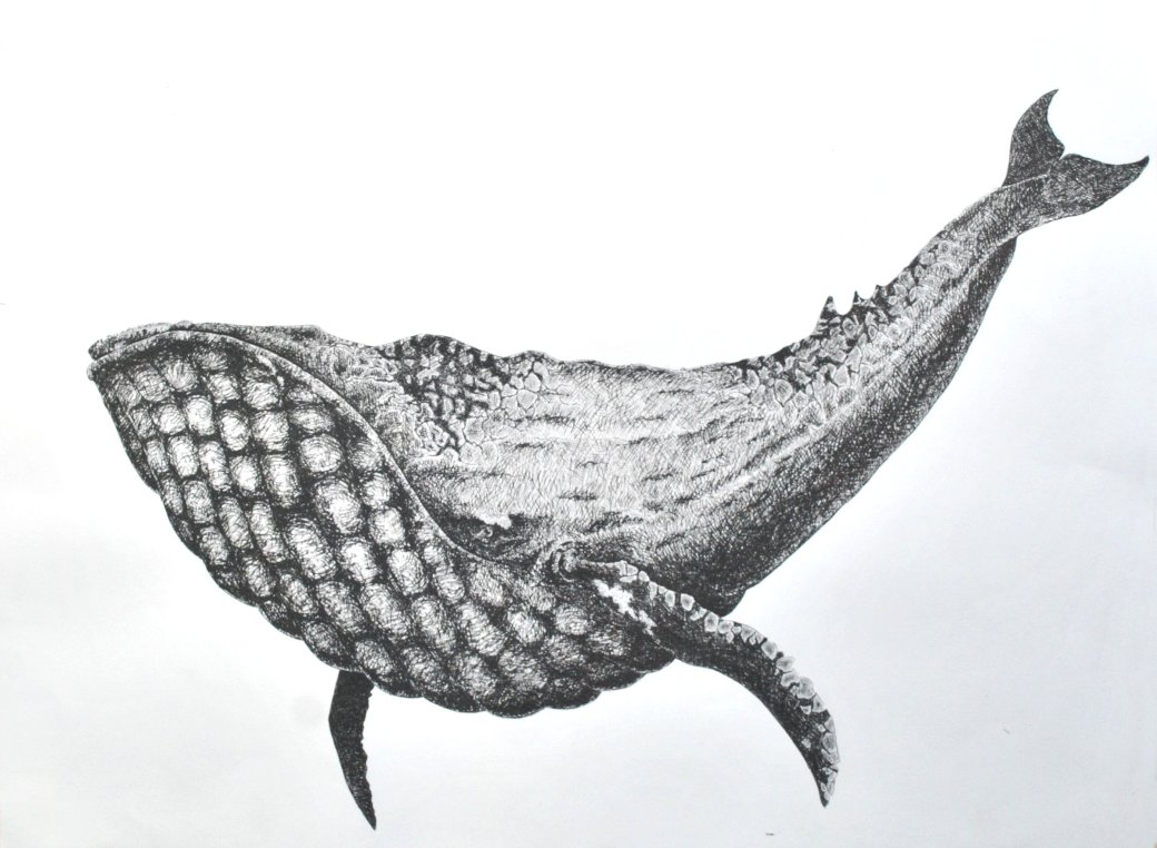 The Grand Armada, Natasha van Netten, 2014.jpg