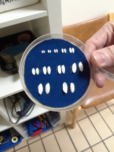 Cod Otoliths at the BioPol lab, Skagastrond