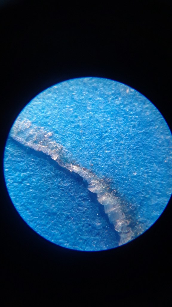 Drawing under the microscope