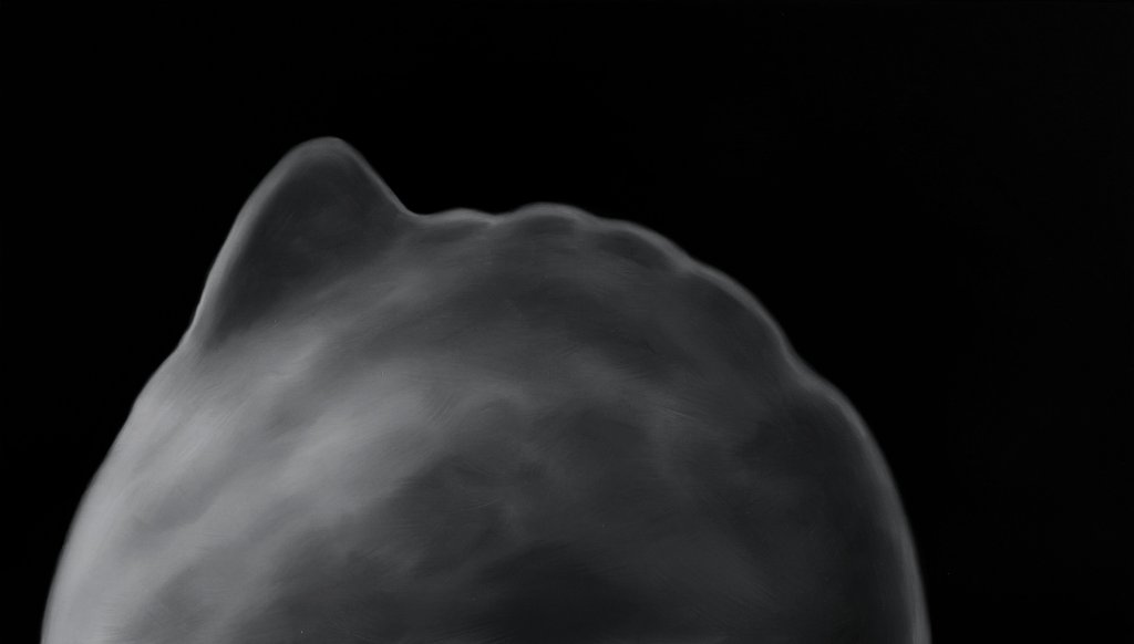 Sperm Whale calf against mother whale